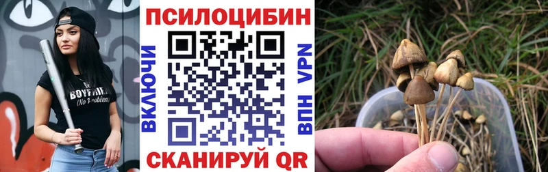 Псилоцибиновые грибы Magic Shrooms  Купить  Барыш 